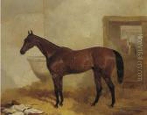 A Bay Racehorse In A Stable Oil Painting by Harry Hall