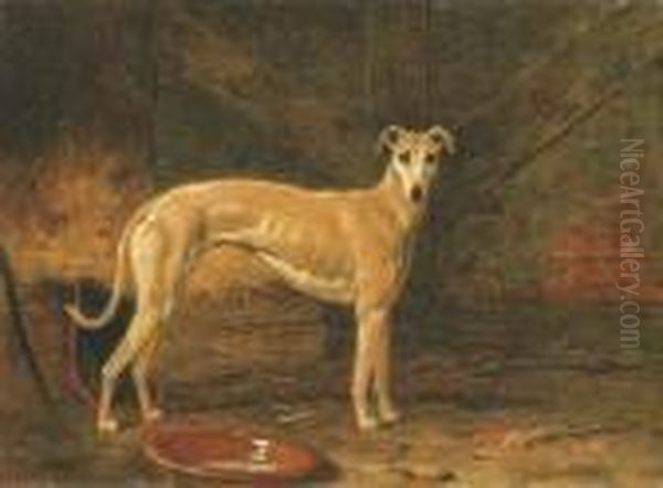 Coomassie, Winner Of The Waterloo Cup Oil Painting by Harry Hall