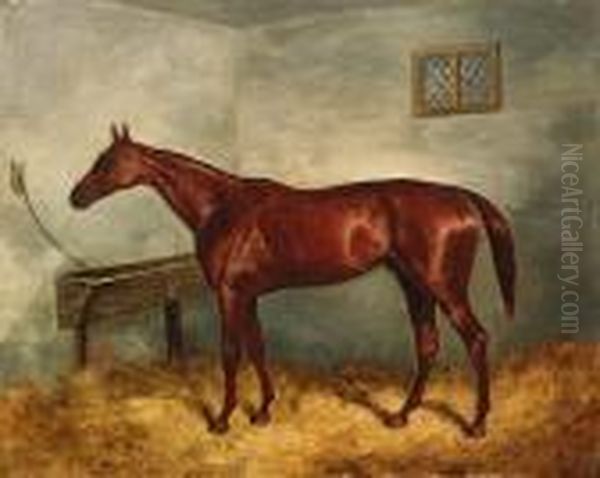 Thunderbolt, A Chestnut Racehorse In A Stable Oil Painting by Harry Hall