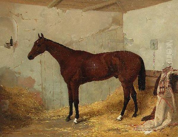 A Bay Racehorse In A Stable Oil Painting by Harry Hall