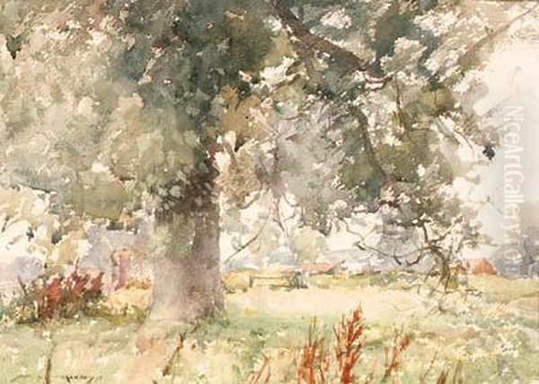 Silver Trees At Pulborough by William Lee Hankey