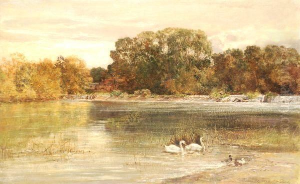 Riverscene With Swans And Ducks Oil Painting by Heywood Hardy