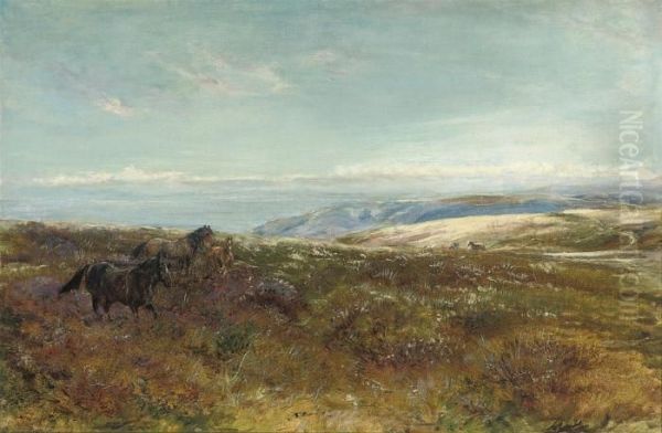 Ponies On The Moors, Summer Oil Painting by Heywood Hardy