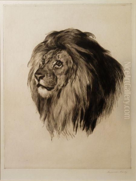 Head Of A Lion Oil Painting by Heywood Hardy