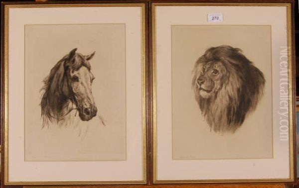 Portraits Of A Lion And A Horse Oil Painting by Heywood Hardy