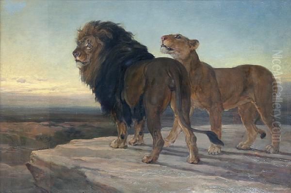 Lion And Lioness Oil Painting by Heywood Hardy