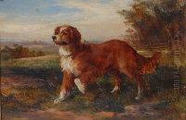 Study Of A Retriever Oil Painting by Heywood Hardy