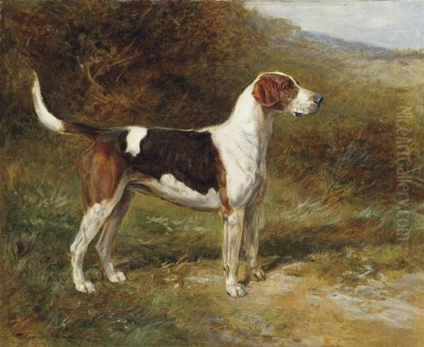 Sunshine
, A Foxhound Of The Quorn Oil Painting by Heywood Hardy