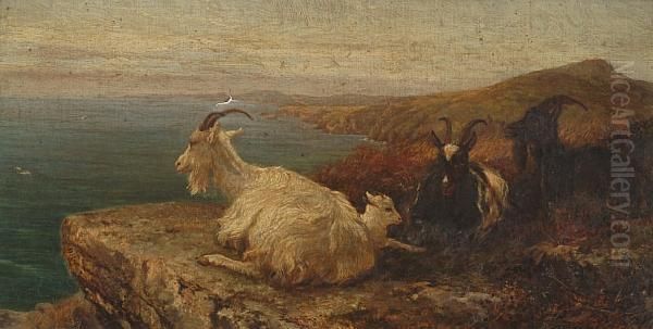 Goats On A Coastal Cliff Top Oil Painting by Heywood Hardy