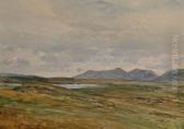 An Extensive Landscape With A View Towards Mountains. Oil Painting by Heywood Hardy