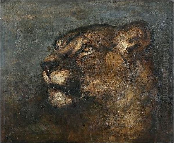 Head Of A Lioness Oil Painting by Heywood Hardy