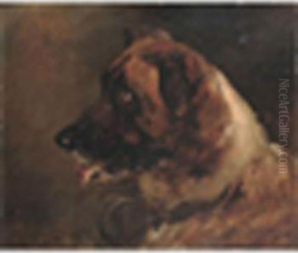 Study Of Ast.bernard Signed Oil Painting by Heywood Hardy