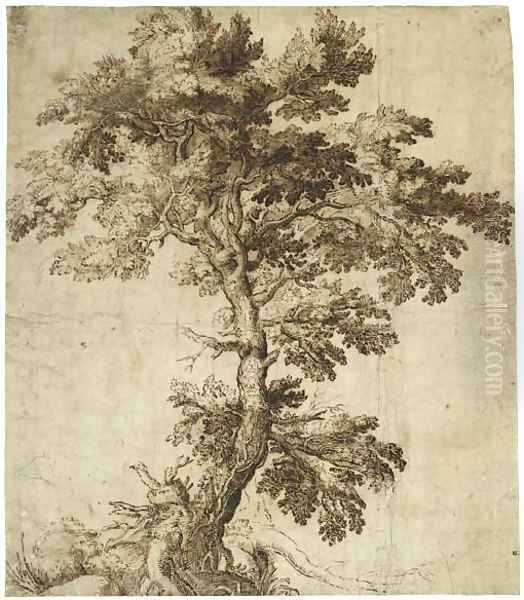 A Tree On An Outcrop Oil Painting by Girolamo Muziano