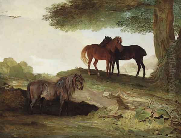 Ponies A shetland pony, and two welsh ponies beneath a tree, in a landscape Oil Painting by Ben Marshall