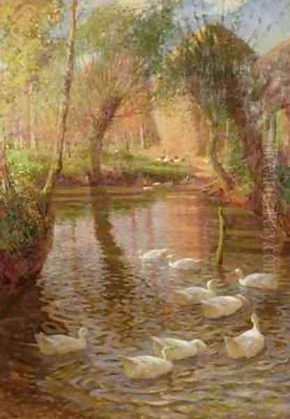 Ducks Oil Painting by Lindsay MacArthur