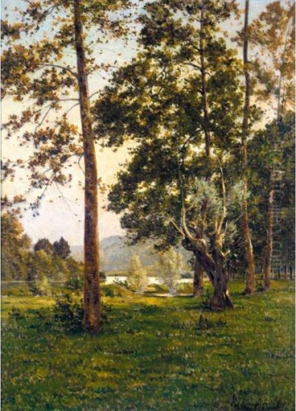 Les Bouleaux Oil Painting by Henri-Joseph Harpignies