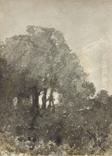 Un Paysage Avec Des Arbres Oil Painting by Henri-Joseph Harpignies