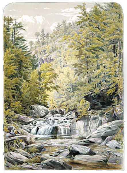 Catskill Clove Oil Painting by William Rickarby Miller