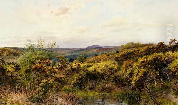 View Of Crooksbury Hill, Surrey Oil Painting by William Henry Millais