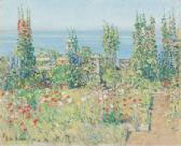 Hollyhocks, Isle Of Shoals Oil Painting by Frederick Childe Hassam