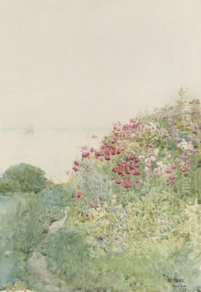 Field Of Poppies, Isles Of Shoals, Appledore Oil Painting by Frederick Childe Hassam