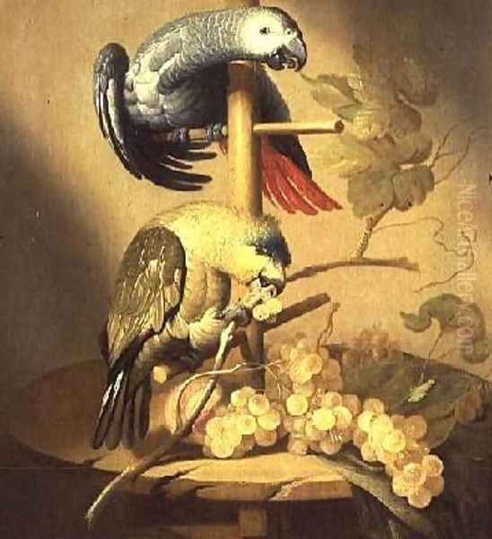 An African Grey and an Orange Winged Amazon Parrot on a Perch with Grapes Oil Painting by Jacob Fransz van der Merck