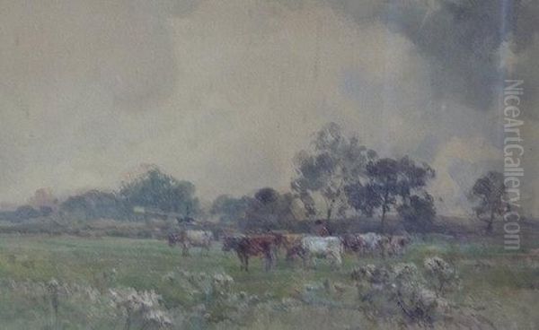 Cattle In A Meadow Oil Painting by Claude Hayes