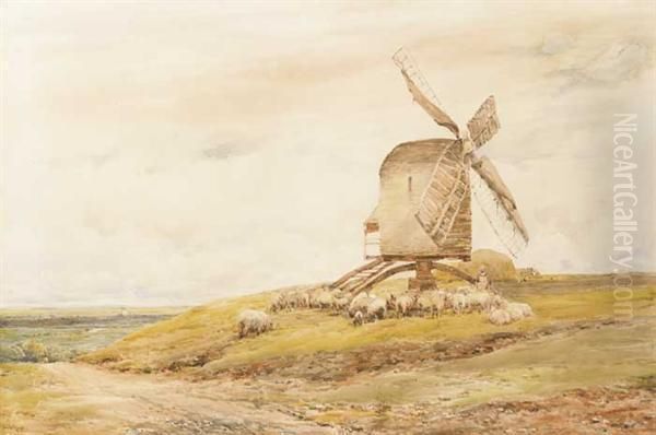 Windmill And Sheep Oil Painting by Claude Hayes