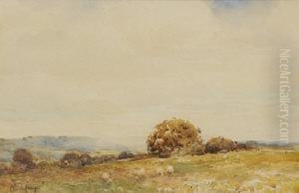 Landscape With Sheep Oil Painting by Claude Hayes