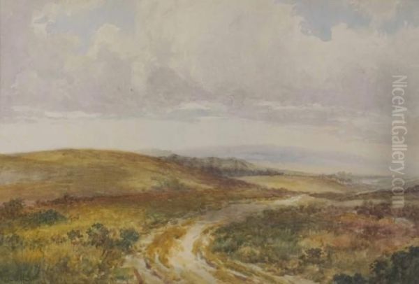 The Road Across The Downs Oil Painting by Claude Hayes