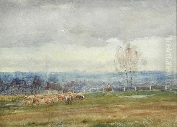 Sheep Grazing At A Downland Farm Oil Painting by Claude Hayes