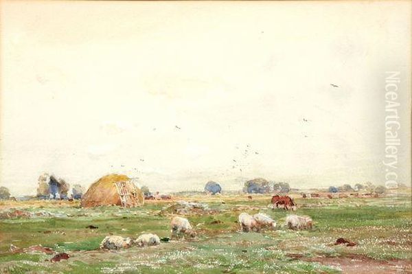 Sheep And Cattle In A Landscape Oil Painting by Claude Hayes