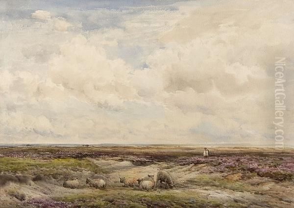 Sheep Grazing On A Moorland Oil Painting by Claude Hayes