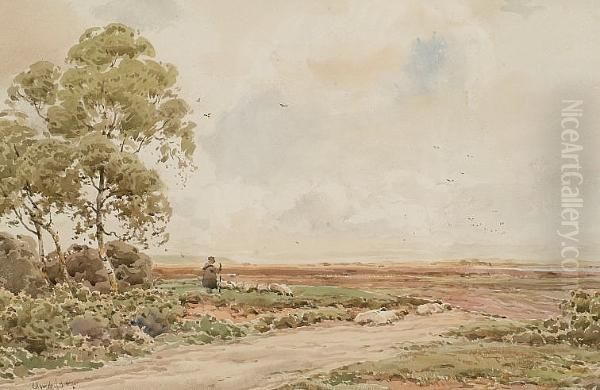 Near Lyndhurst, Hants Oil Painting by Claude Hayes