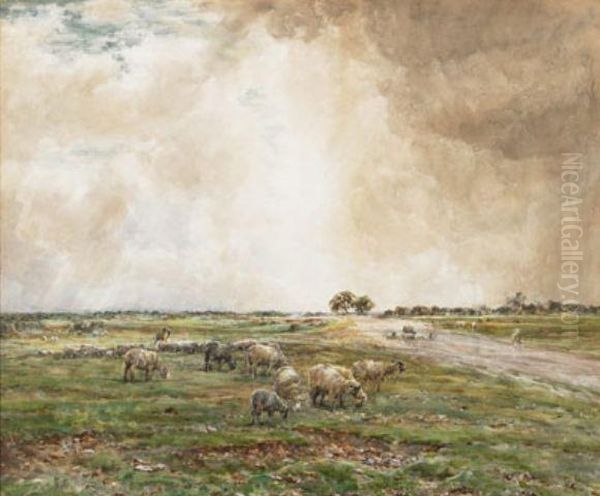 Sheep Grazing In An Extensive Landscape Oil Painting by Claude Hayes