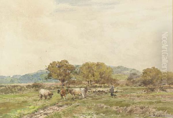 Rounding Up The Herd Oil Painting by Claude Hayes