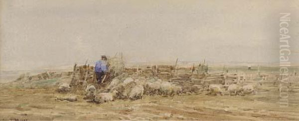 A Norfolk Sheep Fold Oil Painting by Claude Hayes