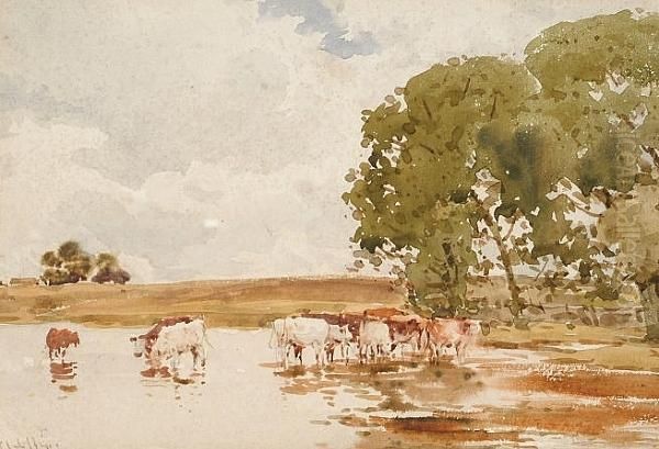 Cattle Watering Oil Painting by Claude Hayes