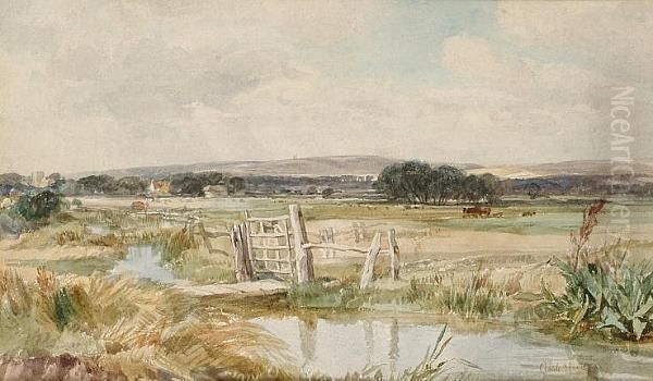 Broadwater, Near Hastings Oil Painting by Claude Hayes