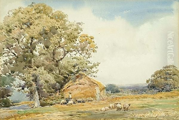 Sheep In A Rural Landscape Oil Painting by Claude Hayes