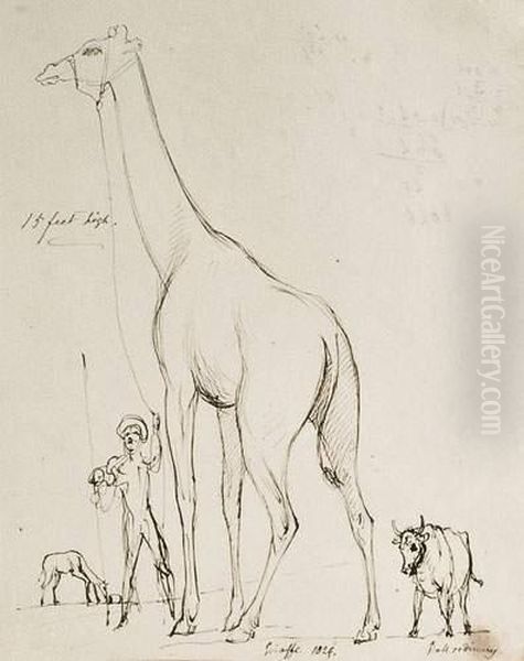 La Girafe De La Menagerie Du Jardin Des Plantes Oil Painting by Sir George Hayter