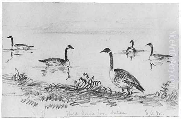 Wild Geese (from McGuire Scrapbook) Oil Painting by Shepard Alonzo Mount