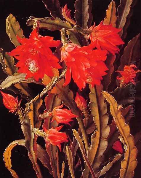 Cactus with Scarlet Blossoms Oil Painting by Christian Juel Mollback