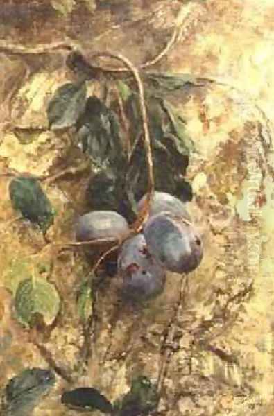 Plums Oil Painting by David Murray