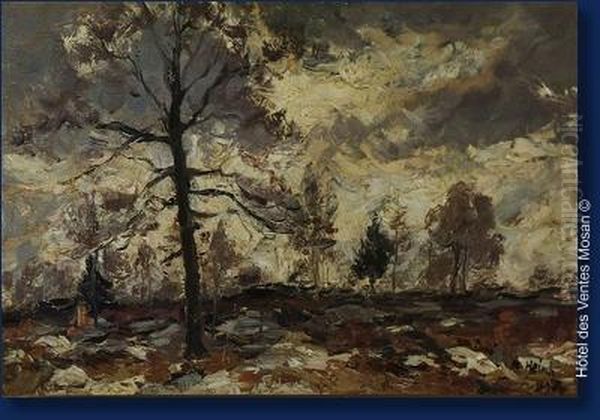 Paysage De Fagnes Oil Painting by Richard Heintz