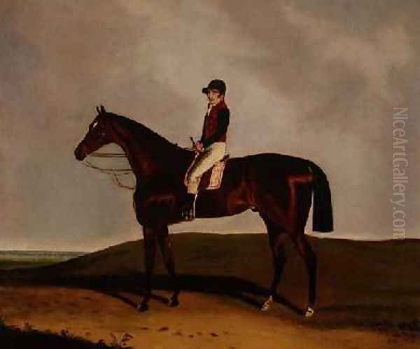 A Bay Racehorse 1851 Oil Painting by C. Markham