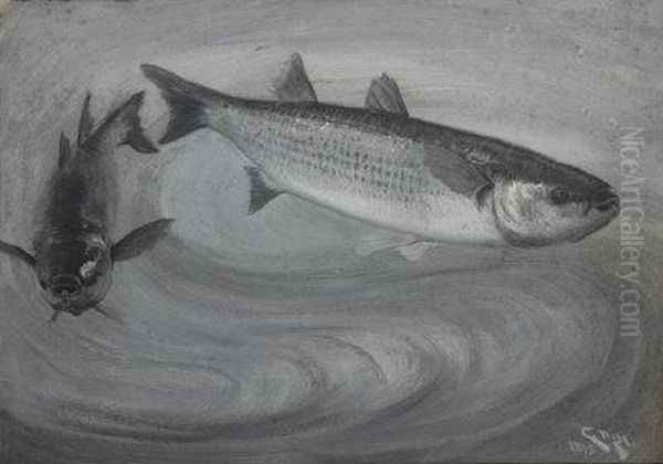 Two Grey Mullet, Swimming. Oil Painting by Charles Napier Hemy