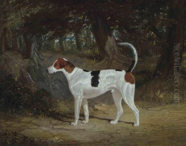 A Favourite Hound Oil Painting by John Frederick Herring Snr