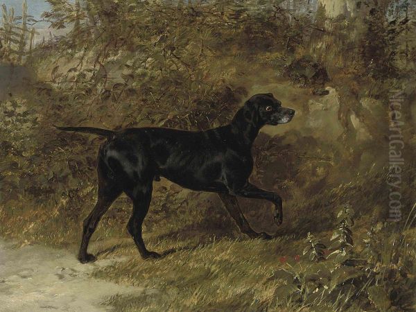 A Black Pointer Oil Painting by John Frederick Herring Snr