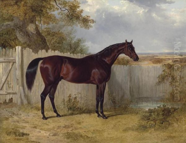 Theobald's Rockingham By A Fence In A Paddock Oil Painting by John Frederick Herring Snr